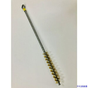 SUNPOWER wiEeuV W ^JRfT[uV(BS) CDW43(5918571)[ʓrς][@l][fO]