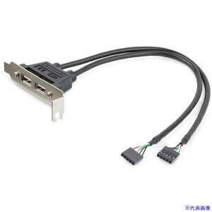 X^[ebN USB݃A_v^[/USB 2.0/2x AX - 2x 10s IDC/PCP[X }U[{[hswb_[ڑ USBPLATELP(5978027)[@lEƏ][O]