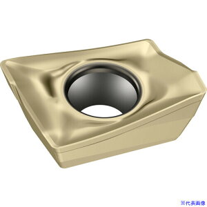 ��Walter �~�[�����O���H�p �Ђ��`�|�W�`�b�v WSP45G ADKT10T3PERF56(WSP45G)(6075021)×10[�����ʓr�����ς�][�@�l����][�f�O���]