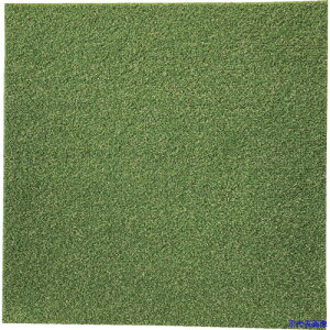 ���哇�� �l�H�Ń^�C���J�[�y�b�g 50x50cm TT300(6111868)