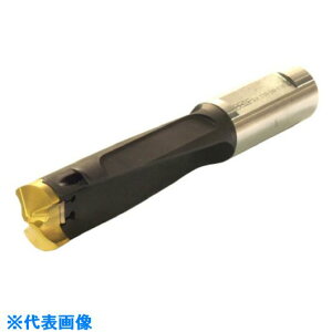 ���C�X�J�� �J���h���� �w�b�h�������h�����z���_ DCM-3.5D DCM10003310B3.5D(6213332)[�����ʓr�����ς�][�@�l����][�f�O���]