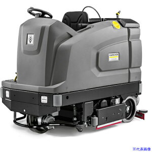 ��KARCHER �Ɩ��p�����@ B 260 RI Bp Pack Dose + D100 3.137291.0(6295270)[�@�l����][������]