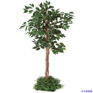 ��NAIKI �X�N�G�A�O���[��(300�p) LOT�^ ���g�X LOTOS NGR50550303(6597450)[�����ʓr�����ς�][�@�l����][�f�O���]