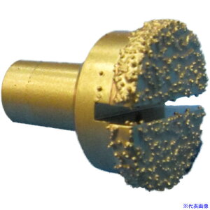 p ܂puCYrbg19.0 1583(6608994)[ʓrς][@lEƏ][fO]