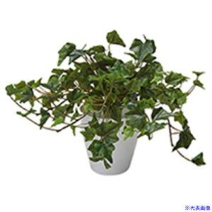 NAIKI lH(ACr[) AG275(6800016)[ʓrς][@l][fO]