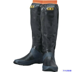Ag y2025N1\z(tV[Y Ȃ莟捡GI)n  3L 361T3L(6804895)[ʓrς][@l][fO]
