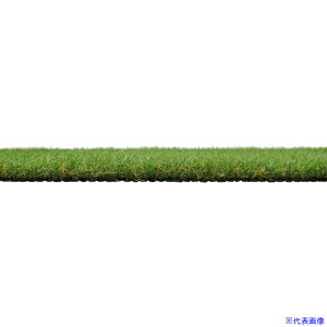 ��IRIS 108003 �����O�p�C���l�H�� 3m×10m CT30310R(6805083)[�@�l����][�O������]