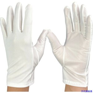 WINCESS ho VRR[eBOho^Cv M (12o) G1223M(6864442)[ʓrς][@l][fO]