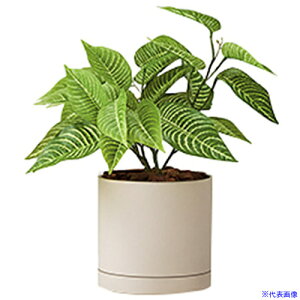 NAIKI lH([uubV) AGF120TRPG(6907438)[ʓrς][@l][fO]