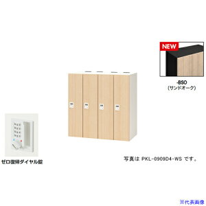 NAIKI p[\ibJ[(4lp) |bP PKL^/FThI[N {́FubN/W900×D450×H900 PKL0909DR4BSO(6927889)[ʓrς][@l][fO]