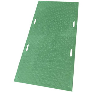 ���E�b�h�v���X�`�b�N �H���p�~�� W�{�[�h ���ʓ� �J���[:�� 1219mm×2438mm(������4) B122420GRSBM4K4(6959255)[�@�l����][�O������]