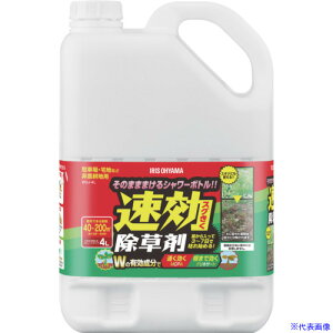 ��IRIS 110884 ���������� 4L WSJ4L(7012494)