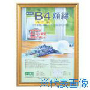 ■ナカバヤシ 樹脂製軽量額(キンケシ)パック/ハチニ KWP37(7239688)