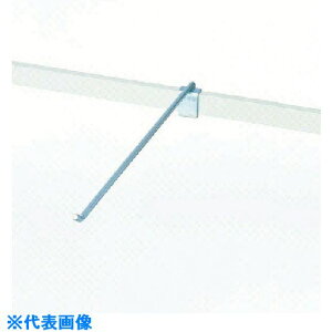 Rh |VXebNp tbN  C300062XOP(7362897)[ʓrς][@l][fO]