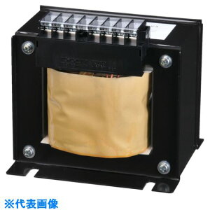 ���L���d�� LD21�V���[�Y 200V��100V�����_�E���g�����X 500VA LD21500E2(7904037)[�����ʓr�����ς�][�@�l����][�f�O���]
