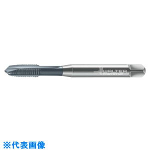 Prototyp }V^bv 7021366M4(8027199)[ʓrς][@l][fO]