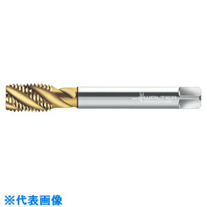 ��Prototyp �}�V���^�b�v P2158905M12X1(8029121)[�����ʓr�����ς�][�@�l����][�f�O���]