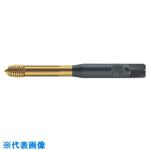 Prototyp ]^bv S2061306M4(8029447)[ʓrς][@l][fO]