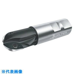 ��Walter �{�[���m�[�Y�J�b�^�[ F2339.W25.025.Z02.20(8036052)[�����ʓr�����ς�][�@�l����][�f�O���]