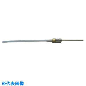 ��19550 19550(8105667)[�����ʓr�����ς�][�@�l����][�f�O���]