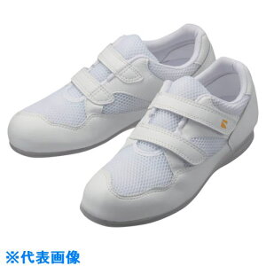 ~hS ÓdƌC GpX 21.5CM PS15SW21.5(8111311)[ʓrς][@l][fO]