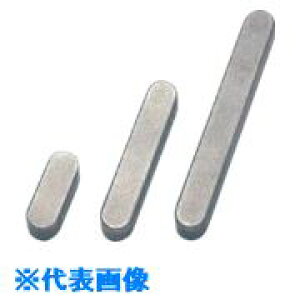 ���Z�C�L ���s�L�[ ����S50C 14×9×100mm R14100(8133712)[�����ʓr�����ς�][�@�l����][�f�O���]