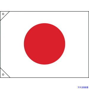 ���Ώ\�� ���͊�(���̊�) 700×1050mm �z�� 250043(8151507)