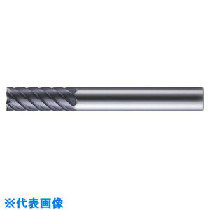 ��MOLDINO �G�|�b�N21 ���M�����[�n CEPR4025 CEPR4025(8152115)[�����ʓr�����ς�][�@�l����][�f�O���]