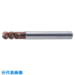 ��MOLDINO �G�|�b�N �~���X �^�C�vN EMXN4080�|24�|05�|TH EMXN40802405TH(8152409)[�����ʓr�����ς�][�@�l����][�f�O���]