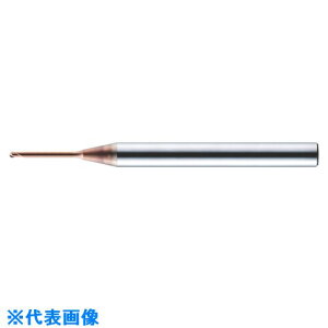 ��MOLDINO �f�B�[�v�{�[��EVO EPDBE2025�|6�|ATH EPDBE20256ATH(8152907)[�����ʓr�����ς�][�@�l����][�f�O���]