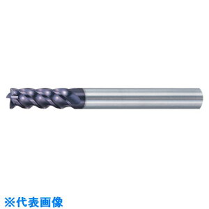 ��MOLDINO �G�|�b�N�p���[�~�� �R�[�iR�c�L EPP4060�|15 EPP406015(8154192)[�����ʓr�����ς�][�@�l����][�f�O���]