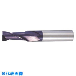��MOLDINO �Z���`�����|�R�|�g 2���nEM HES2060�|C HES2060C(8154656)[�����ʓr�����ς�][�@�l����][�f�O���]