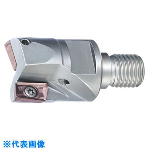 ��MOLDINO �A���t�@ ���� ���イ���� AHJM21RS AHJM21RS(8155449)[�����ʓr�����ς�][�@�l����][�f�O���]