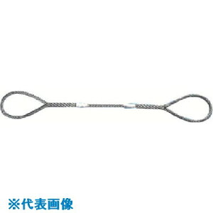 ��NIKKO W�X�����O(��) �S��5.0m �X�����O�a22mm W225H(8157453)×2[�����ʓr�����ς�][�@�l����][�f�O���]