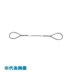 ��NIKKO W�X�����O �S��3m �X�����O�a6mm WR6S3(8157507)×10[�����ʓr�����ς�][�@�l����][�f�O���]