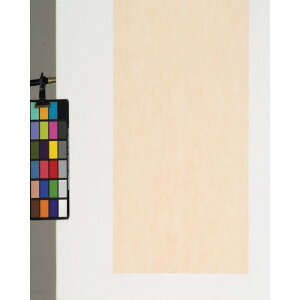 fBJ sDzV[g 100 x[W 90p FUBE90(8167782)[ʓrς][@l][O]