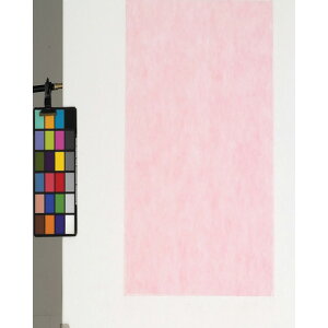 fBJ sDzV[g 100 sN 90p FUP90(8167791)[ʓrς][@l][O]