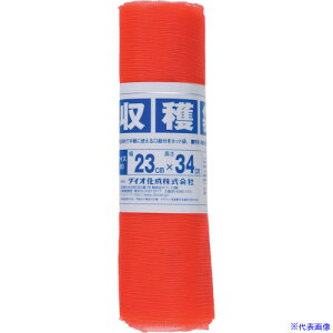 Dio n 2kgp 23cm×34cm 10 490474(8194899)
