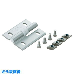 ��SUGATSUNE (170041540)�N���[���q���W�A���~�t���[����t�p�Z�b�gAS�|HG�|CV65NL�|30�|8 ASHGCV65NL308(8206796)[�����ʓr�����ς�][�@�l����][�f�O���]