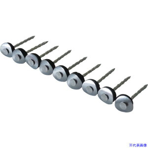 DAIDOHANT XeXAPBp[XN[ 12×50 fn 9{×10A 10176002(8218531)