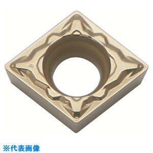 Z Hp`bv CVDR[eBO CA530 CPMT080204PP(CA530)(8249376)×10[ʓrς][@l][fO]