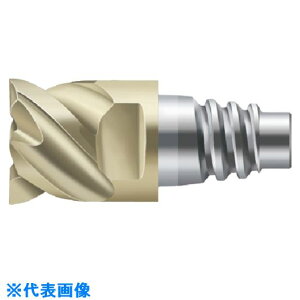 ��Prototyp Protomax �G���h�~�� H4E34217E1212(8260008)[�����ʓr�����ς�][�@�l����][�f�O���]