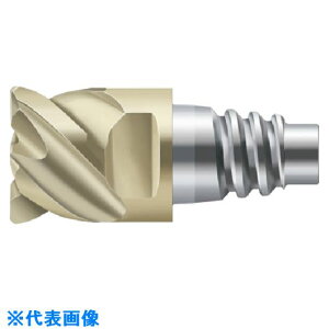 ��Prototyp Protomax �G���h�~�� H4E38217E20204(8260032)[�����ʓr�����ς�][�@�l����][�f�O���]