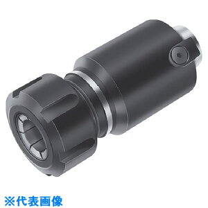 ��Walter �R���r�l�[�V�����A�_�v�^�[ AK300M.0.50.080.20(8260632)[�����ʓr�����ς�][�@�l����][�f�O���]
