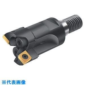��Walter 2���n�{�[�����O�H�� B3221.T18.2327.Z2.CC06(8261701)[�����ʓr�����ς�][�@�l����][�f�O���]