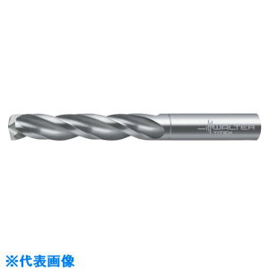 ��Titex ���d3���n�h����Maximiza A11669.6(8263403)[�����ʓr�����ς�][�@�l����][�f�O���]