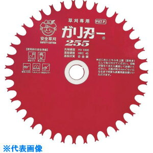 ��IWOOD �����@�p �K���n�[ 230X36P 99003(8275451)[�����ʓr�����ς�][�@�l����][�f�O���]