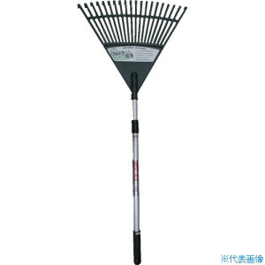 Rp A~Lk܂ Ch 030044(8289561)