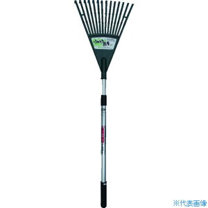 Rp A~Lk܂ X 030051(8289562)