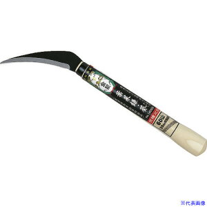 GS (̂肪)  t؊ () n100mm S290mm 140503(8345618)